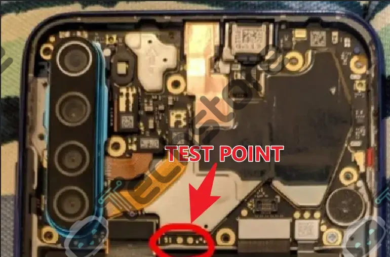 ginkgo, willow, Note 8 (T)